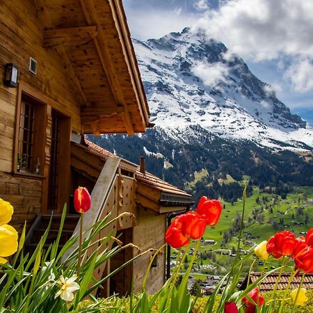 Chalet Caramelle Гріндельвальд Екстер'єр фото
