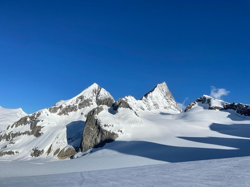 Chalet Caramelle Гріндельвальд Екстер'єр фото